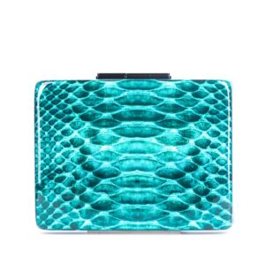Turquoise Python Clutch